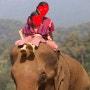 [230127-230207 아이와 함께하는 태국 치앙마이 여행] Elefin Farm & Cafe / 엘리핀팜 / 코끼리카페