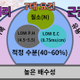 고객들이 즐겨 찾는 고품질 블루베리 재배에 적당한 토양 만들기