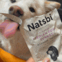 우리 댕댕이도 먹는 미슐랭 5스타가 만든 펫푸드 레시피 강아지화식 스페인 전통 "나츠비" "고스비" 강아지화식
