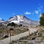 [미국대륙횡단 80일차 오레곤] 오레곤주의 상징인 Mt. Hood 와 Timberline Lodge