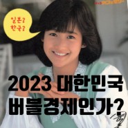 2023 대한민국, 버블경제인가?
