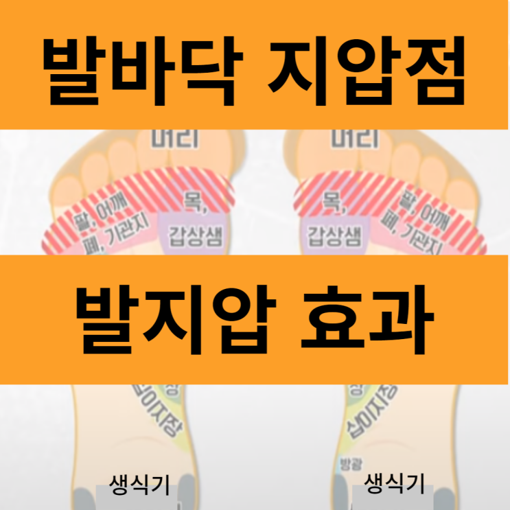 발바닥 지압점 발지압 효과 방법 피로회복에 좋아요 : 네이버 블로그