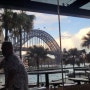 [호주 여행] 시드니 오페라하우스, 하버브릿지 전망 좋은 추천 식당 THE SQUIRE'S LANDING 그러나...feat. 시드니 크루즈 스케줄