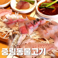 [서울역/충정로 맛집] 가성비 최고 사시미 오마카세 중림동 물고기 (+ 예약 방법)