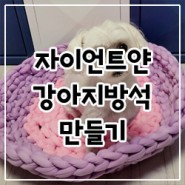 자이언트얀으로 강아지 방석/쿠션 만들기 성공!!