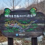 충북의 자연휴양림에서 봄기운을 느끼며 놀멍 쉬멍