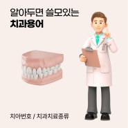 정읍치과 잘하는곳 정읍심플란트 치과 / 치과 용어 치아 용어 치과치료종류