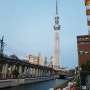 [일본여행 스카이트리] 도쿄 스카이트리 랜드마크는 가보는거지