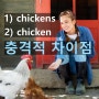영어 회화 표현 | 치킨은 과연 셀 수 있는 단어일까?