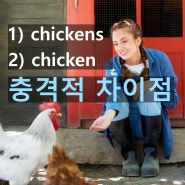 영어 회화 표현 | 치킨은 과연 셀 수 있는 단어일까?