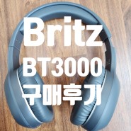 브리츠 블루투스 Britz BT3000 구매후기