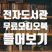 성남시 도서관 사업소에서 전자도서관 이용해서 무료 오디오북 듣기 방법 알아보기