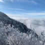 [무주] 덕유산 곤도라 예약 방법 - 차근차근 쉽게 알려드릴게요