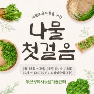 [부산농업기술센터]전통식문화계승 [나물 첫걸음] 교육 안내