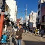 [도쿄여행 가볼만한곳] 한국의 숨결이 잠든곳 센소지 덴보인 전통문화거리 호피 이자카야거리 아사쿠사 돈키호테