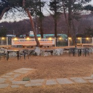 충주애견카페 아이조아펫파크 / 보호소 내돈내산 방문후기 :)