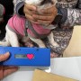 태국 방콕으로 가는 강아지들 쿠리 도코 : 강아지 고양이 태국 데려가기 동물검역 동물운송 태국 수입허가서 절차 비용 검역증과 건강증명서