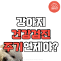 강아지 건강검진 주기 언제?!