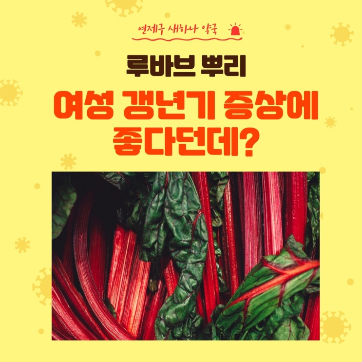 여성 갱년기에 도움 되는 루바브 뿌리 추출물?-효능 부작용 주의사항 상호작용 : 네이버 블로그