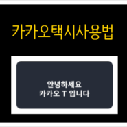 카카오택시 사용법 : 예약 / 자동 결제 / 호출 방법!