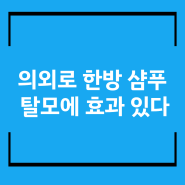 의외로 한방 샴푸 탈모에 효과 있다