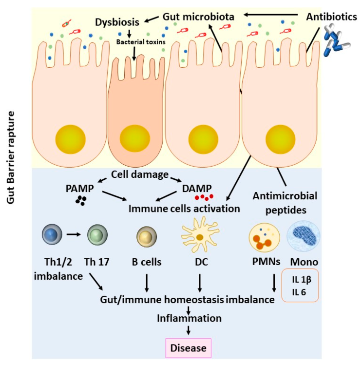 항생제 복용과 설사(Antibiotic-associated diarrhea) : 네이버 블로그