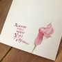 캘리그라피 문구 수채화 독학 꽃그림 그리기