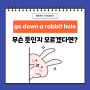 'go down a rabbit hole' 무슨뜻?/ 문정동 성인영어 / 스피킹캠퍼스 /위례 성인영어 /송파 성인영어