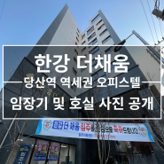 [한강더채움] 당산역 역세권 3룸 오피스텔, 새해맞이 임장기 및 호실 사진 공개!