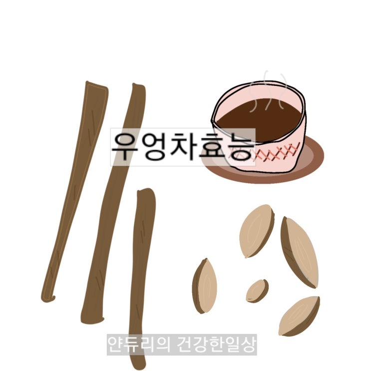우엉차 효능- 우엉 ! 이렇게나 좋았다고 ?! : 네이버 블로그