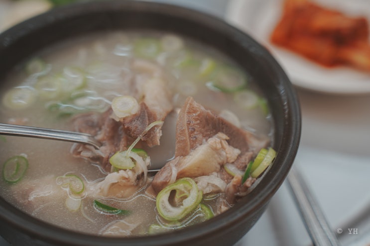 영천공설시장 백년가게 / 산성식당 (2회차 방문) 한우소머리곰탕, 우족탕 : 네이버 블로그