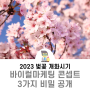 2023 한국 벚꽃 개화시기 의외로 모르는 바이럴 마케팅 콘셉트 3가지 비밀 공개?