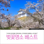올봄 꼭 가봐야할 일본 오카야마 벚꽃명소 베스트 5