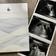 [임신일기] 32주 라헨느산후조리원 산전마사지/밤부베베 손수건빨래/출산준비