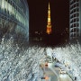 15번째 롤 : 코닥 컬러플러스 200 : 사진에 담아본 일본 도쿄