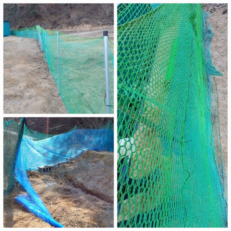 울타리망 경계 만들기! 텃밭 유해동물 방지! 멧돼지 가시철사, 노루 고라니망 시멘트 말뚝박기, 모기장 뱀 망 : 네이버 블로그