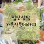 부산 경남 교육복지실 가족나무심기 원예활동 식물테라피 집단상담 프로그램