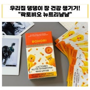 강아지 장건강에 좋은 유산균 추천! 꼬실이도 먹는 “락토비오 뉴트리냠냠”