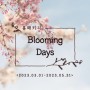 [PACKAGE] 봄 패키지 'Blooming Days' (2023/03/01 ~ 2023/05/31)