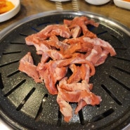 안성 팜랜드주변맛집 안성 우주선 공도부영점