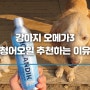 강아지 오메가3 아이슬란딕 루테인 피부 효능 본 노견영양제