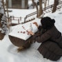1월 설(雪)산 겨울여행 축령산자연휴양림/휴양관/산수국