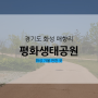 경기도 여행 가볼 만한 곳, 매향리 평화생태공원부터 평화 역사관