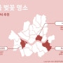 봄맞이 서울 벚꽃 명소 추천_데이트할만한 곳_여의도 한강공원 서울숲 석촌호수