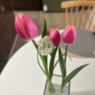 퇴근길 꽃 튤립 서프라이즈