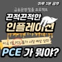 금융 ...CPI 와 PCE