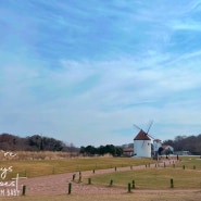 겨울 제주도 동쪽 여행, 아이와 에코랜드 가기.(장점과 단점)