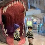 경남 고성 아이와 가볼만한곳 공룡박물관