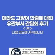 * 마라도 고양이 반출에 대한 전길연 간담회