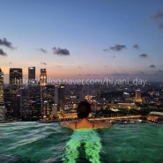[싱가포르 여행] 마리나베이샌즈 호텔 인피니티풀 수영장, 라이즈 조식, 스카이파크 전망대, 근처 편의점 등 모든 정보